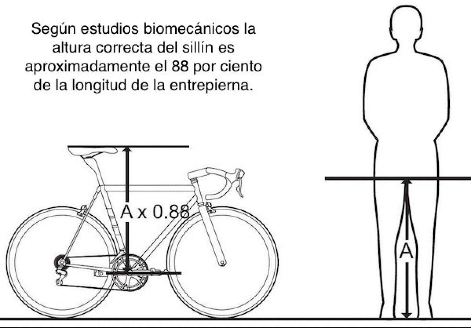 Ajustar La Altura Del Sillín De La Cicicleta De Carretera - TodoTriatlon